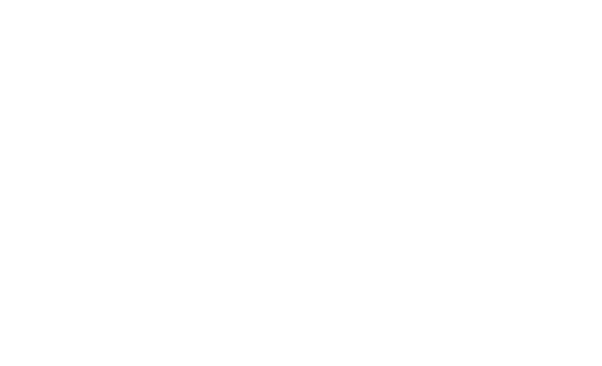 ICEA LION Group
